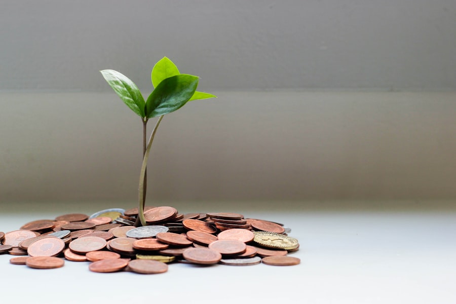 Wealth management services